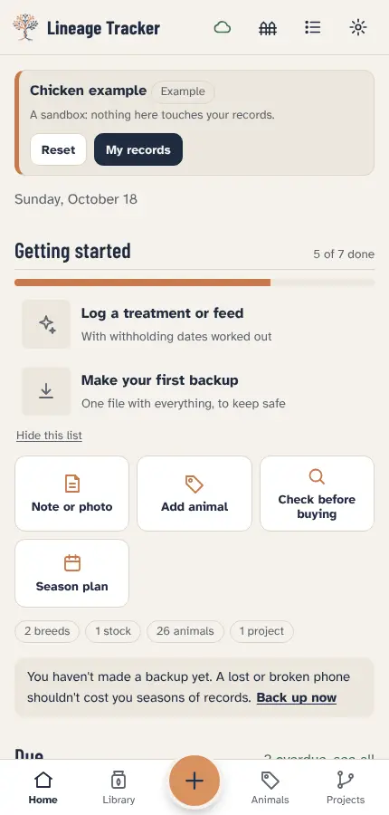 The Blue Australorp laying line example open in the app
