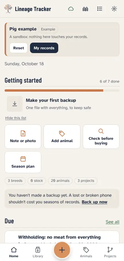 The Kunekune herd example open in the app