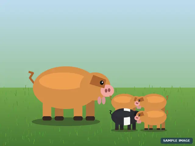 Cartoon illustration for the Kunekune herd example